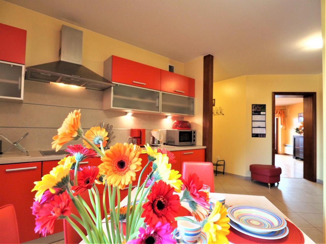 Апартаменты Apartament Widokowy Maki Закопане Экстерьер фото